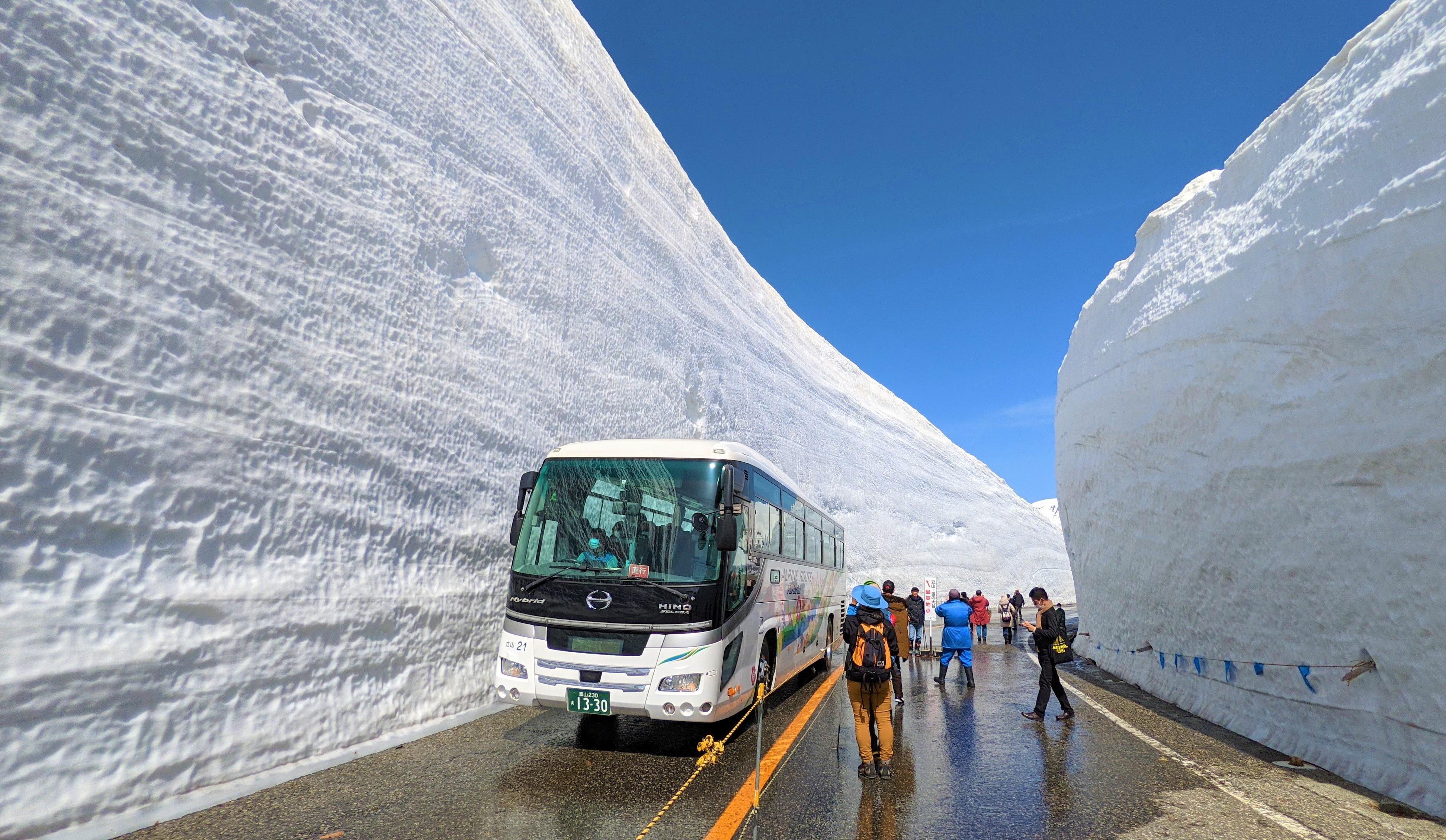 立山黒部貫光 立山黒部アルペンルート 片道乗車券(2枚) 21.11.30迄