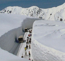 Tateyama Kurobe Alpine Route     Official Website