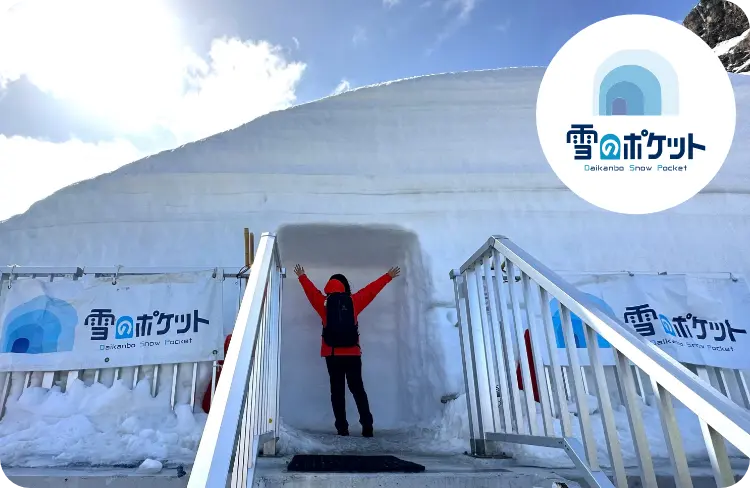 雪のポケット