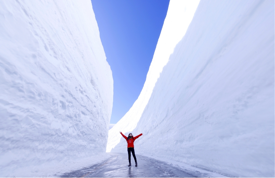 立山黒部アルペンルート、2025年4月15日(火)から圧倒的高さの雪の壁を体感できる「雪の大谷ウォーク」を開催！